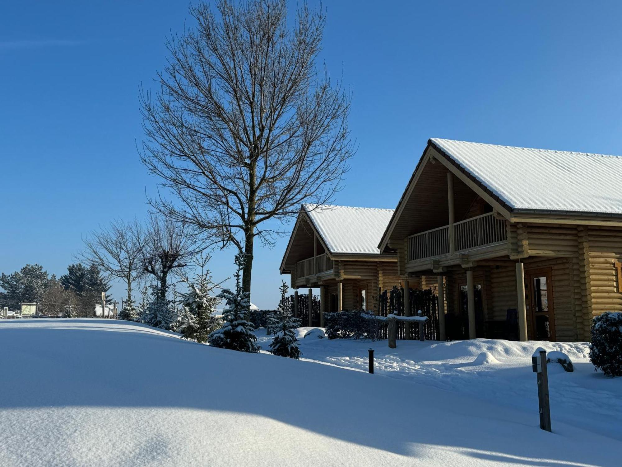 Boomstamhuis High Chaparral Oorsbeek Kültér fotó
