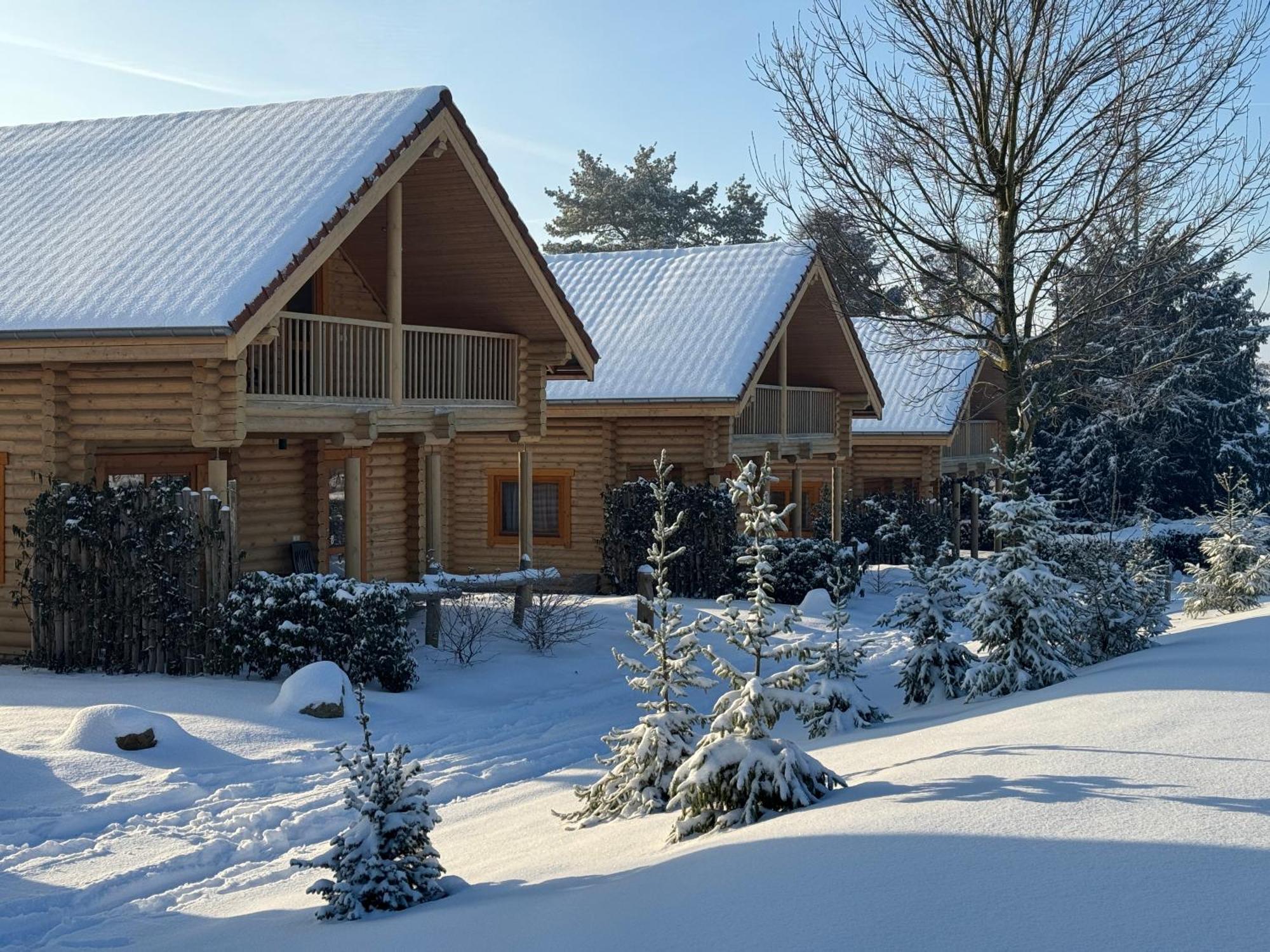 Boomstamhuis High Chaparral Oorsbeek Kültér fotó
